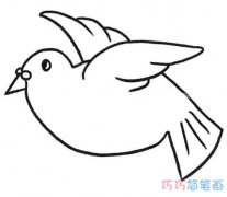 卡通鸽子的画法简笔画图片 手绘和平鸽的画法简单