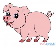 猪年可爱小猪的画法简单好看_彩色小猪简笔画图片
