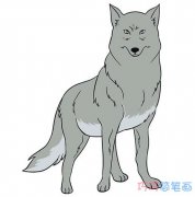怎么画大灰狼简笔画图片_素描狼的画法简单漂亮