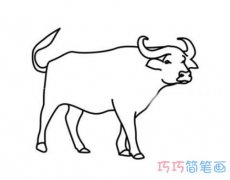 怎么画水牛手绘带步骤图 水牛简笔画图片