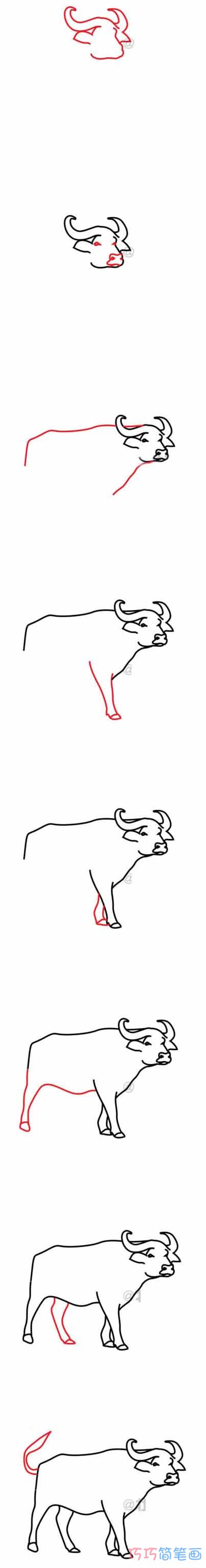 水牛怎么画好看可爱_带步骤图水牛简笔画图片