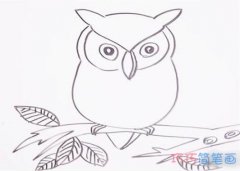 猫头鹰手绘怎么画带步骤图 猫头鹰简笔画图片