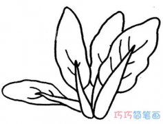 手绘油菜怎么画简单好看_青菜简笔画图片