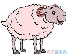 小绵羊素描怎么画涂颜色_可爱绵羊简笔画图片