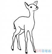 简单麋鹿的画法带步骤图 手绘麋鹿简笔画图片