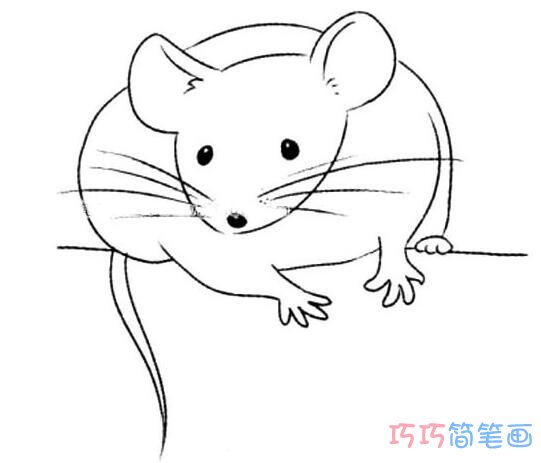 小老鼠素描怎么画可爱易学_小老鼠简笔画图片