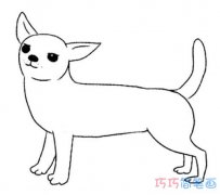 吉娃娃犬怎么画简单可爱_卡通吉娃娃简笔画图片