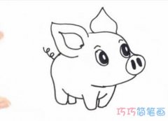超可爱小猪怎么画简单易学 小猪的画法步骤简笔画图片
