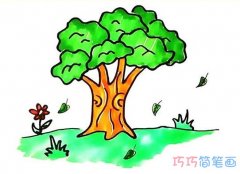 卡通大榕树的画法步骤图带颜色 卡通榕树的简笔画图片