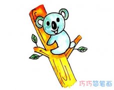 幼儿树袋熊的画法步骤图涂颜色 卡通树袋熊简笔画图片