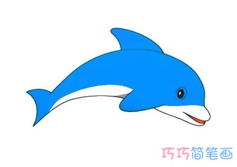 跳跃海豚怎么画好看_蓝色海豚简笔画图片