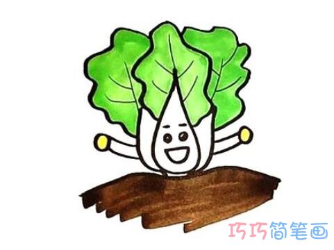 卡通大白菜怎么画好看_白菜简笔画图片