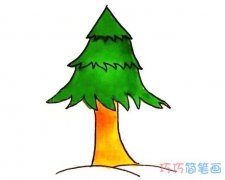 手绘松树的画法步骤图带颜色 卡通松树简笔画图片