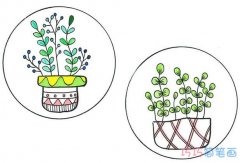 盆栽绿植的画法涂颜色 手绘盆栽插画简笔画图片