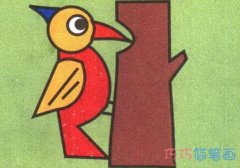 如何画啄木鸟带步骤图涂色 卡通啄木鸟的画法简单可爱