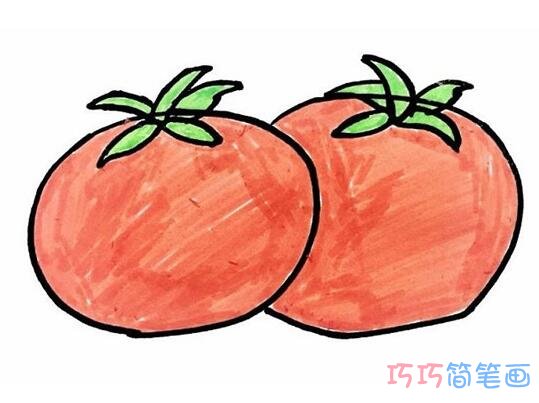   西红柿怎么画简洁易学 带步骤图西红柿简笔画图片