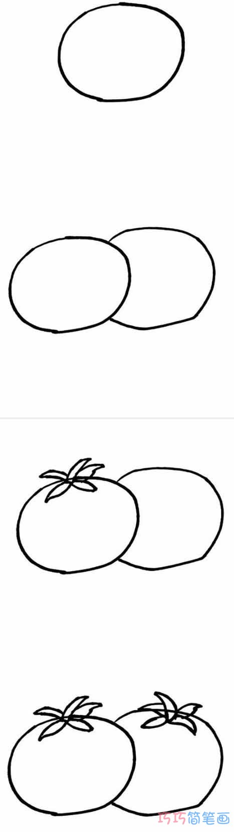   西红柿怎么画简洁易学 带步骤图西红柿简笔画图片
