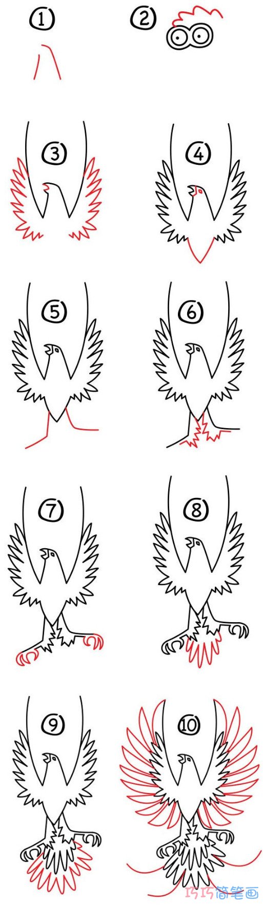 凤凰鸟怎么画可爱呆萌 带步骤图凤凰鸟简笔画图片
