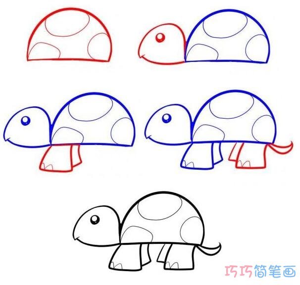 小海龟怎么画可爱 带步骤图海龟简笔画图片