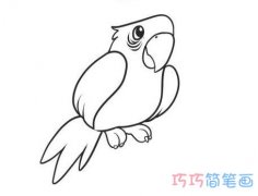 手绘鹦鹉的画法步骤图 简单可爱小鹦鹉简笔画图片