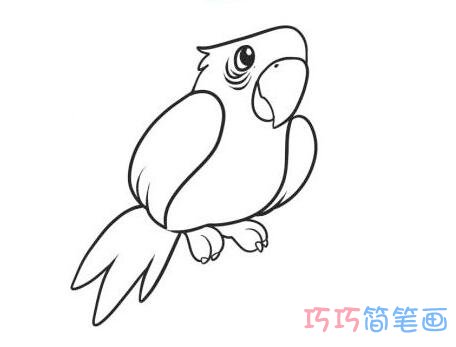 鹦鹉怎么画好看简洁 带步骤图鹦鹉简笔画图片
