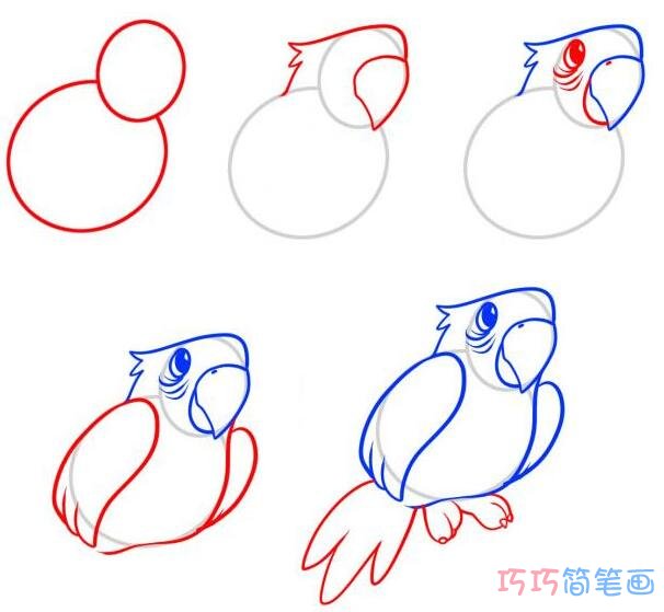 鹦鹉怎么画好看简洁 带步骤图鹦鹉简笔画图片