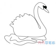一步一步绘画天鹅简笔画图片 手绘天鹅的画法简单漂亮