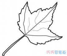 枫树叶子手绘怎么画简单好看 分步骤枫叶简笔画图片