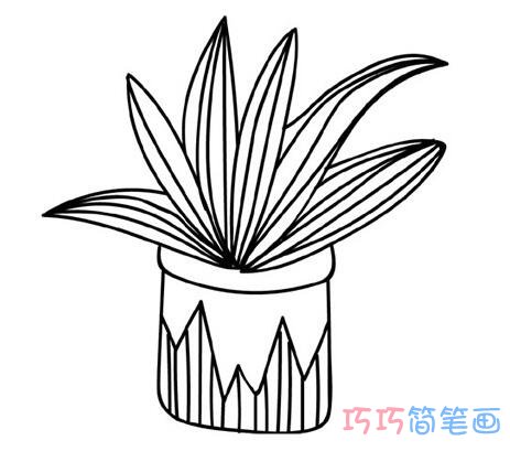 一组绿植盆栽怎么画简洁 盆栽简笔画图片