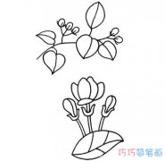 如何绘画茉莉花简单漂亮 怎么画茉莉花简笔画图片