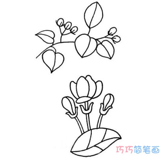 茉莉花怎么画好看 带步骤图茉莉花简笔画图片