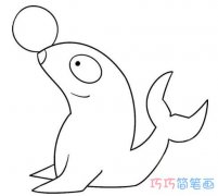 怎么绘画海豹顶球简笔画教程带步骤图可爱