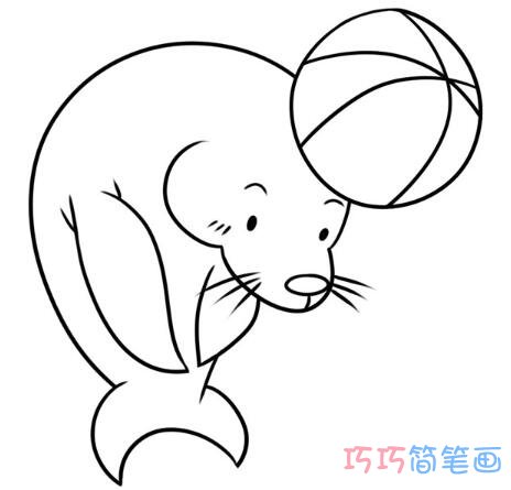  海狮顶球怎么画可爱易学 带步骤图海狮简笔画图片
