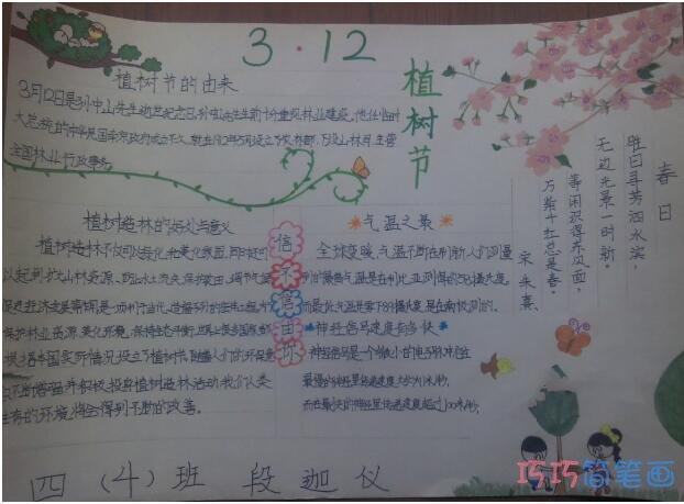 怎么画小学生关于植树节的由来的手抄报图片