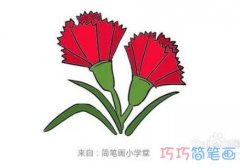 怎么画康乃馨详细步骤图简笔画教程涂颜色