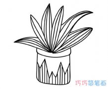 手绘绿植盆栽画法详细步骤图简笔画教程