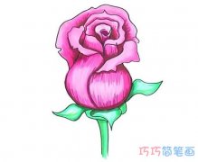 怎么画母亲节玫瑰花手绘详细步骤图教程涂色