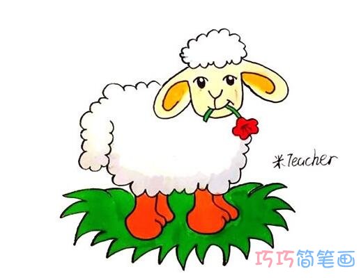 一步一步画小绵羊简笔画教程彩色可爱