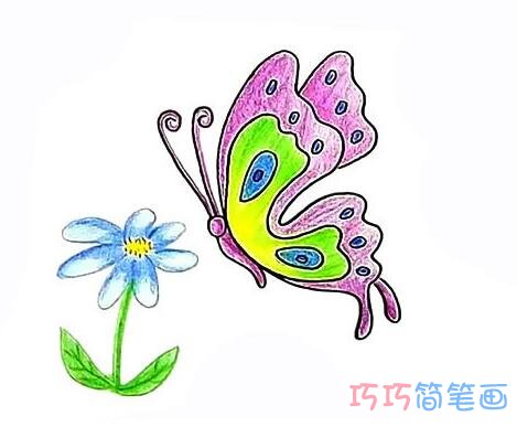 一步一步画蝴蝶花朵简笔画教程彩色好看