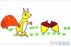 怎么画小松鼠吃坚果画法步骤教程涂颜色