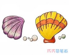 怎么画漂亮贝壳涂颜色 贝壳的画法详细步骤教程