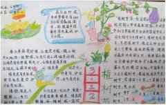 小学生植树造林保护环境手抄报内容资料