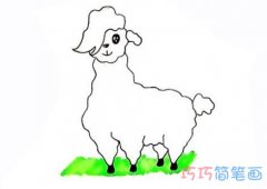 卡通羊驼怎么画简笔画步骤教程涂颜色