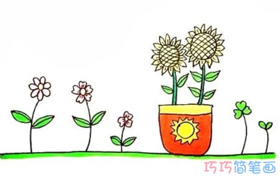 盆栽向日葵怎么画简笔画步骤图简单漂亮