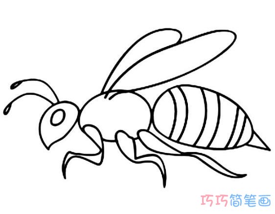 大黄蜂蜜蜂怎么画简笔画教程简单好看