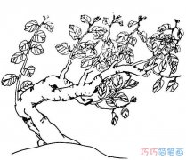 桂花树的画法素描简笔画图片简单漂亮