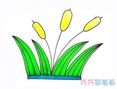彩色芦荟怎么画简单漂亮 芦荟的画法步骤图片