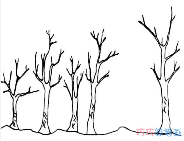 怎么画果林果树简笔画图片简单可爱