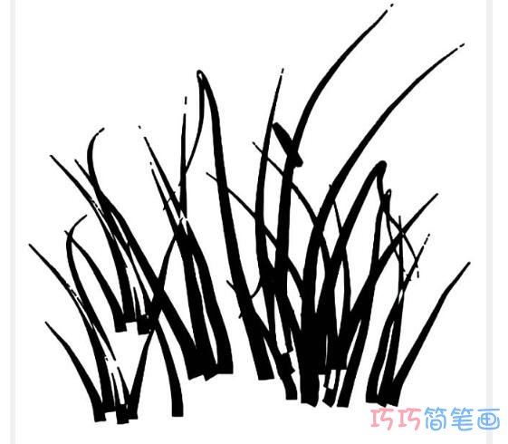 小草丛简笔画怎么画简单好看