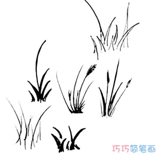 怎么画一棵小草简笔画图片简单好看